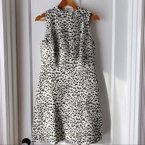 Loft | Snow Leopard Fit and Flare Dress